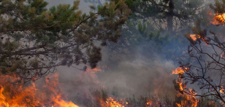 Erhöhte Waldbrandgefahr: Offene Feuer sind verboten Erhöhte Waldbrandgefahr: Offene Feuer sind verboten