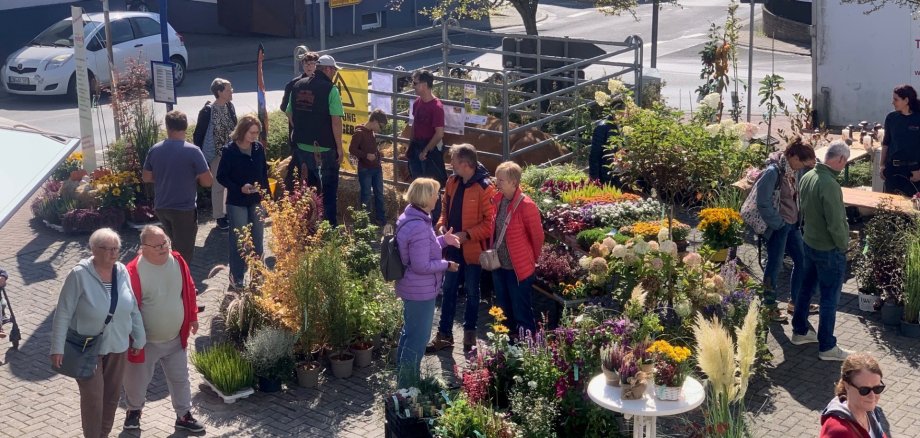 Jetzt ist Pflanzzeit: Eine große Auswahl an Stauden und Obstgehölzen bringt die Gärtnerei Engelhardt mit zum Abbelsaftfest Jetzt ist Pflanzzeit: Eine große Auswahl an Stauden und Obstgehölzen bringt die Gärtnerei Engelhardt mit zum Abbelsaftfest